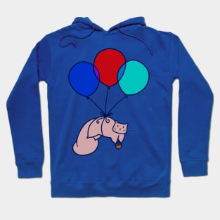 Balloon Squirrel Hoodie